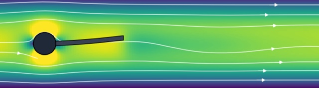 Simulated velocity field around the elastic flap